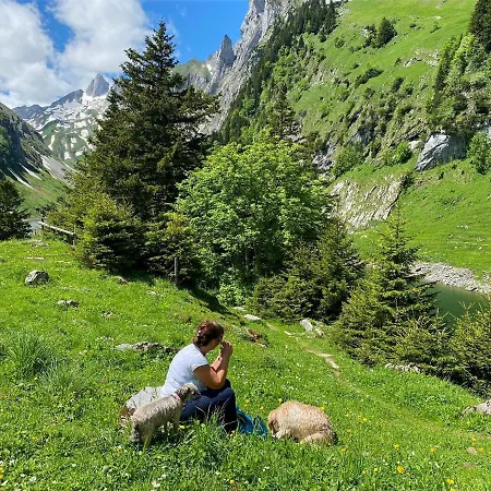 Отель Adam & Eva Paradies Mit Vogt