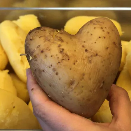 Adam & Eva Paradies Mit 3*