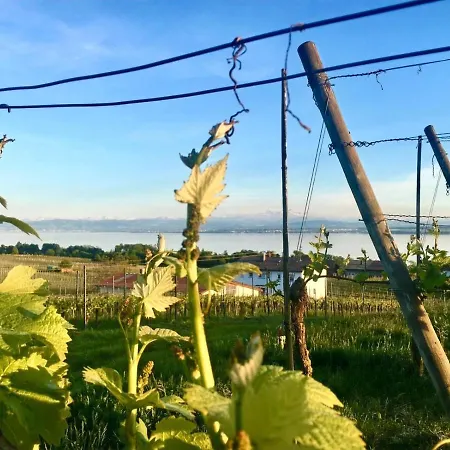 Adam & Eva Paradies Mit Ξενοδοχείο Vogt