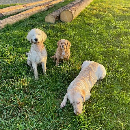 Ξενοδοχείο Adam & Eva Paradies Mit