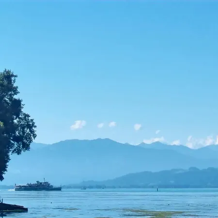 Adam & Eva Paradies Mit Vogt