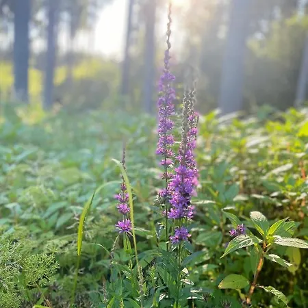 Ξενοδοχείο Adam & Eva Paradies Mit