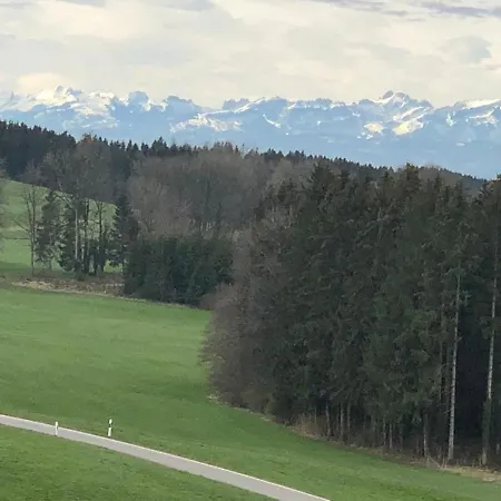 Adam & Eva Paradies Mit Vogt