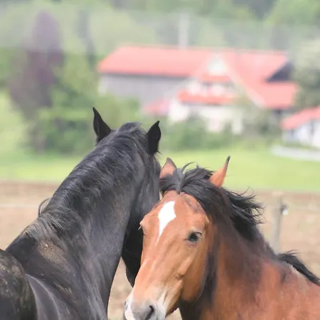 Ξενοδοχείο Adam & Eva Paradies Mit 3*