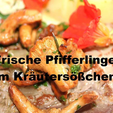 Adam & Eva Paradies Mit Vogt