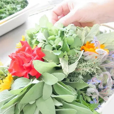 Ξενοδοχείο Adam & Eva Paradies Mit Vogt