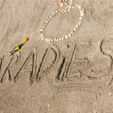 Adam & Eva Paradies Mit 3* Vogt