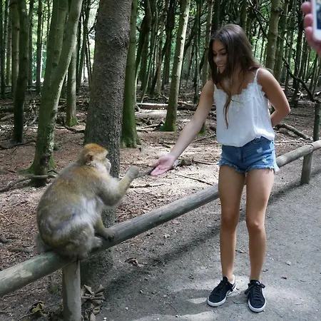 Adam & Eva Paradies Mit 3* Vogt